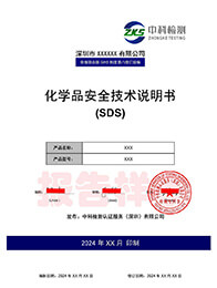 SDS报告中文样本2024版